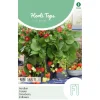 Aardbeien Ruby Ann hangaardbei