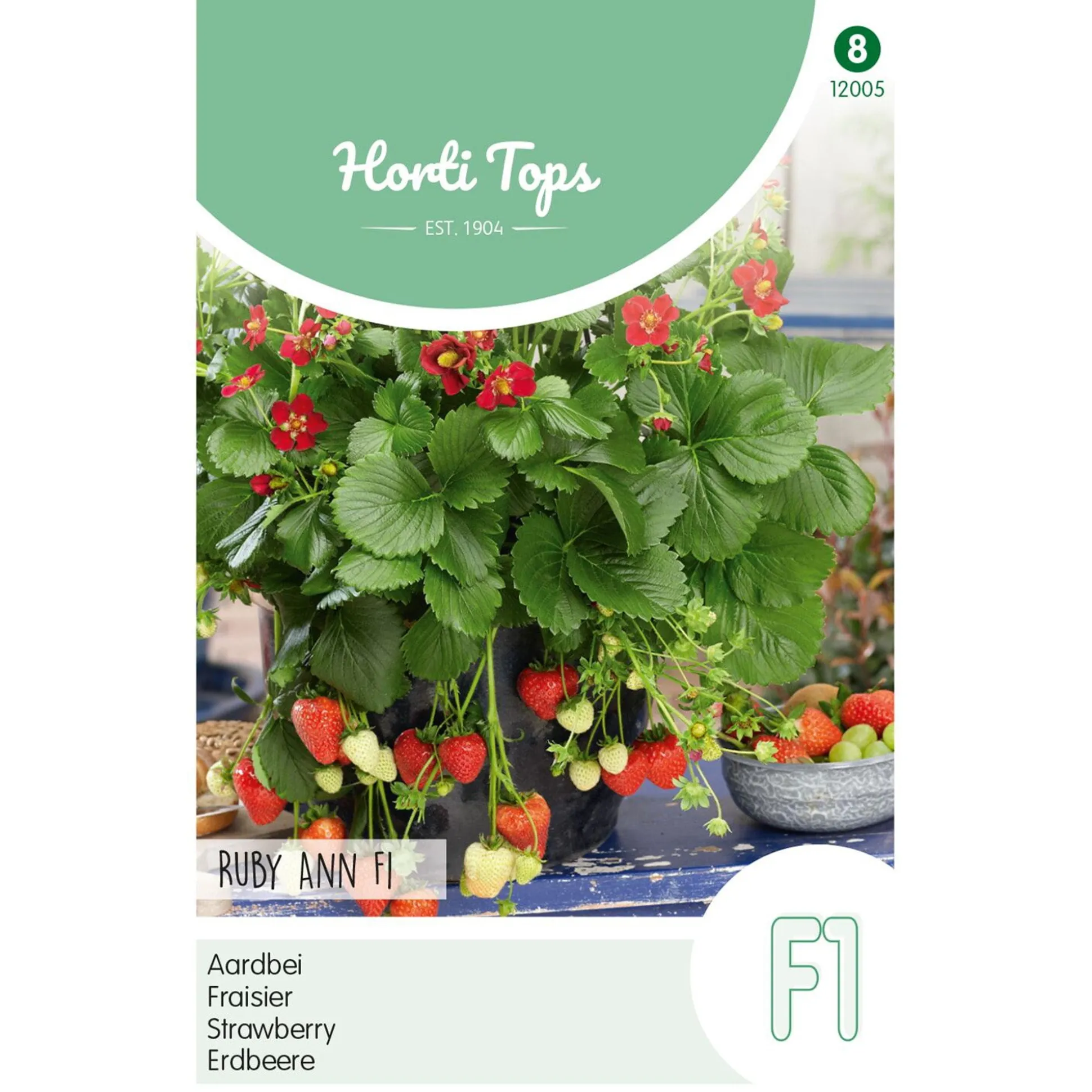 Aardbeien Ruby Ann hangaardbei