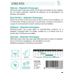 Alcea Majorette champagne (Stokroos) zaad