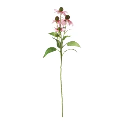 Bloem Rudbeckia lila 73 cm