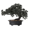 Bonsai in pot groen 28 x 15 x 23 cm