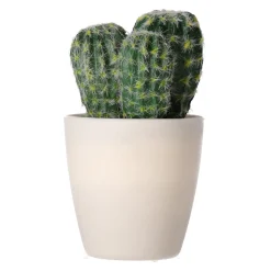 Decoratieve cactusplant 19 cm diverse assorti