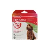 Fiprotec hond 20-40kg Beaphar