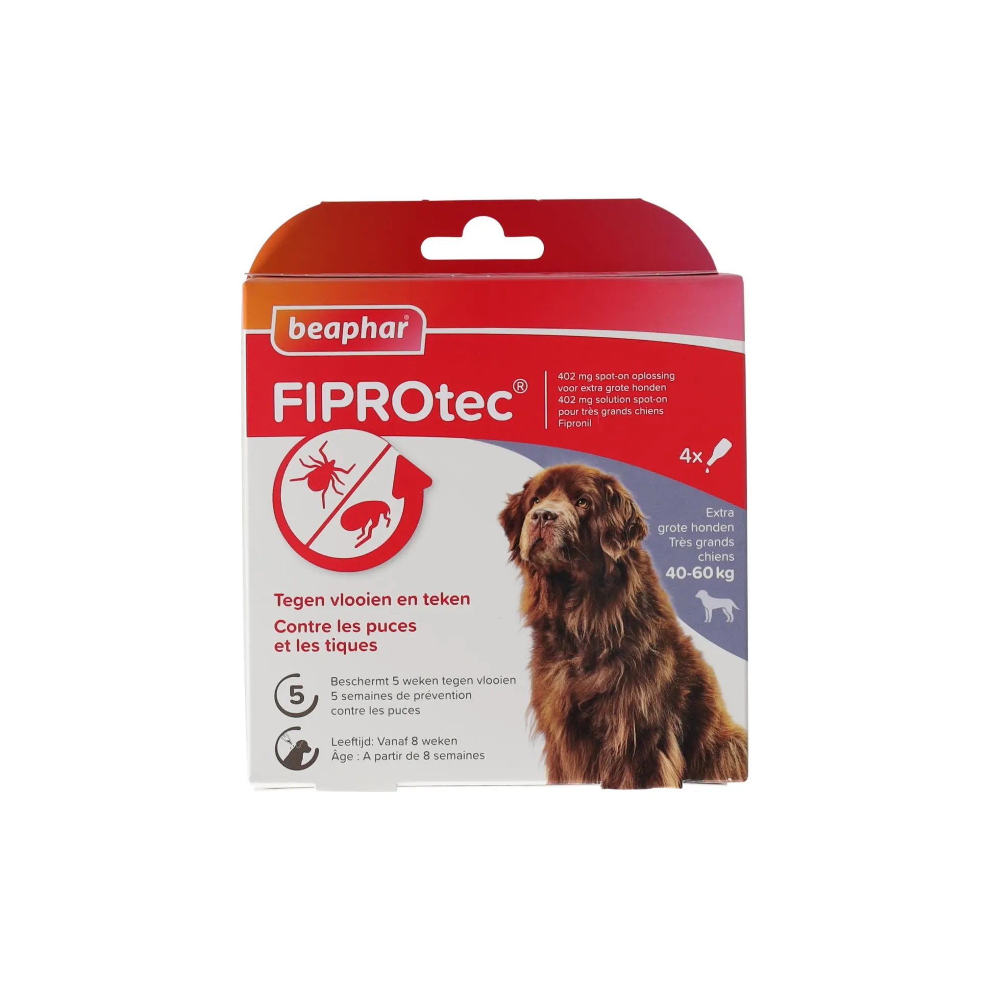 Fiprotec hond 40-60kg Beaphar