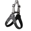 Harnas Hilka easy zwart XS 20mm 30-40cm FP