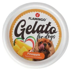 Hondenijs Gelato ananas/banaan/framboos