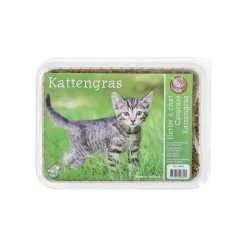 Kattengras