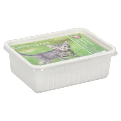 Kattengras