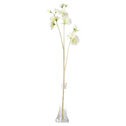 Lathyrus op steel wit 60 cm