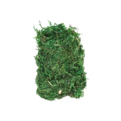 Mos groen 50G