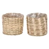 Ronde pot Alexis 9 x 10 cm diverse kleuren