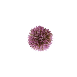 Sierui 55 cm roze