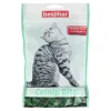 Snack kat Catnip Bits 150gr Beaphar