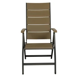 Stoel 7 standen Fabara antra metal