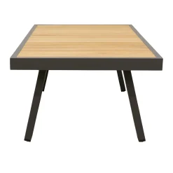 Tafel Salvo 121x60cm antra
