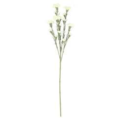 Tak carnation wit 68 cm