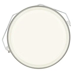 Tuinbeits DK wit RAL 9010 2590 2.5L Finess