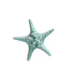 Zeester 19 cm blauw, 2 assorti