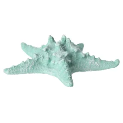 Zeester 19 cm blauw, 2 assorti